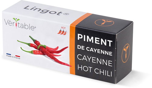 Véritable Lingot Cayenne hot chilli - Seedling Planter - Main image