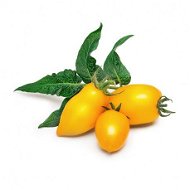 Véritable Lingot Mini žlté rajčiny - Sadenice