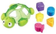  Removable water turtle  - Educational Toy