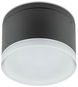 Redo 90107 - LED VenKovní stropní svítidlo AKRON 1xLED/9W/230V IP54 - Stropní světlo