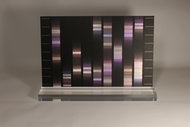 G-miniprint – obraz Vaší jedinečnosti v DNA. Formát fotografie na stůl ve variantě hliník (alubond). - Voucher: