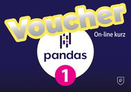 Pandas - analýza a zpracování dat - Voucher: