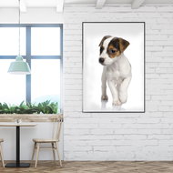 Fotoobraz z vlastní fotografie - Voucher: