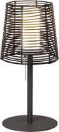 RABALUX Knoxville 8649 - Lamp