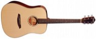 Rathbone R5SM - Acoustic Guitar