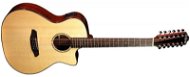 Rathbone R3SBCE12 - Acoustic-Electric Guitar