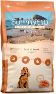 SUMMIT 10 Grain Free Adult Dog Losos 12kg - Dog Kibble