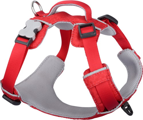 Red Dingo Harness Sport Red 25 mm × 75-112 cm - Harness - Main image