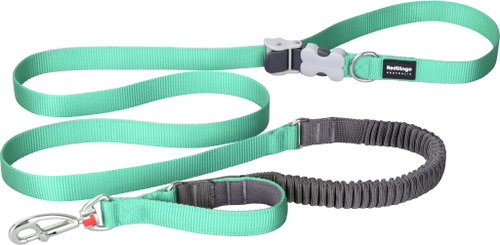 Red Dingo SuperLead Running 25 mm × 2,25 m, Pastel Green - Leash - Main image