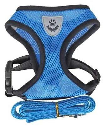 REFLEX Dog collars with leash blue - Harness - Main image
