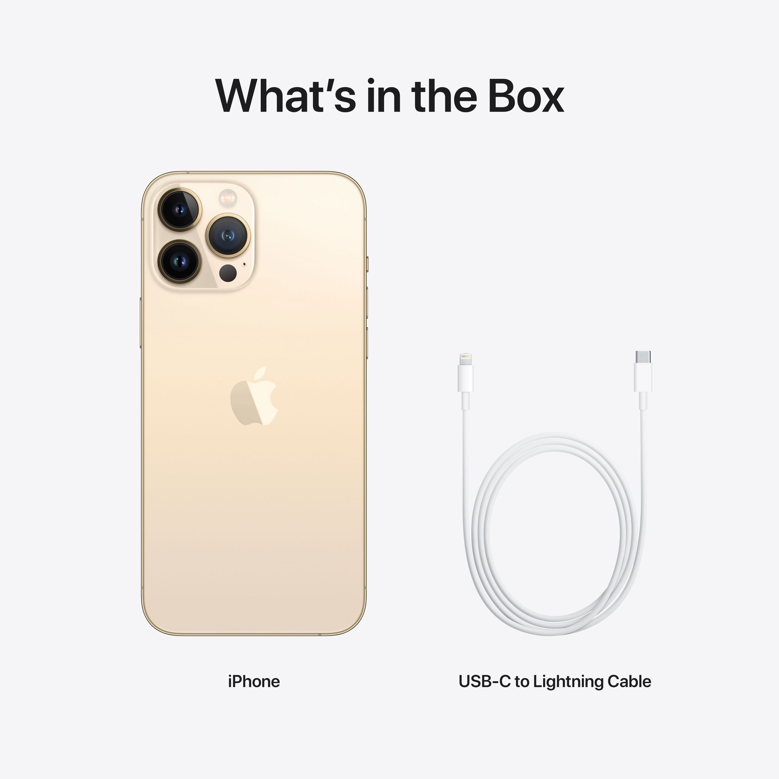 iPhone 13 Pro Max 256GB Gold - Mobile Phone | Alza.cz
