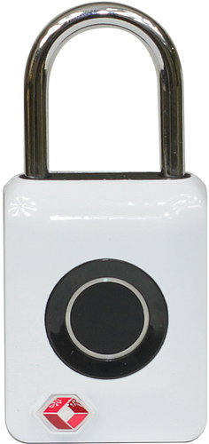 Richter Czech RV.TSA.ZW - Padlock - Main image