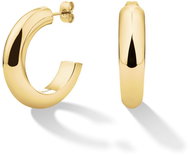 Rosefield JEDSG-J803 - Earrings