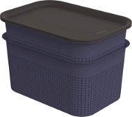 Rotho BRISEN Set boxů s víkem 4,5 l 2 ks, modrá - Úložný box