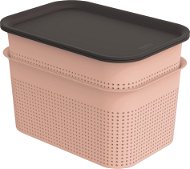 Rotho BRISEN Set boxů s víkem 4,5 l 2 ks, růžová - Úložný box
