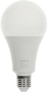 RETLUX RLL 662 A80 E27 bulb 20W WW D - LED Bulb