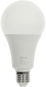 RETLUX RLL 662 A80 E27 bulb 20W WW D - LED žárovka