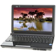 Mivvy L310 black - Mini Notebook