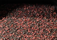 Singleplayer PVA Micro Pellet Mix "Red&Black" 2kg - Pelety