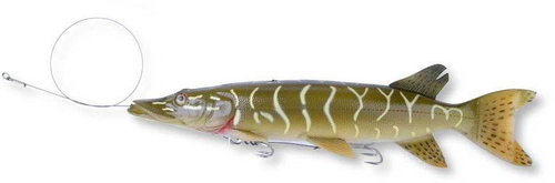 Savage Gear 3D Line Thru Pike 30cm - Bait - Main image
