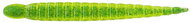 Keitech Custom Leech 3" 7,6cm 1,3g Lime Chartreuse 10pcs - Rubber Bait