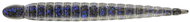 Keitech Custom Leech 3" 7,6cm 1,3g Electric Shad 10pcs - Rubber Bait