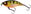 Bling Perch