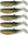 03, 5 sets of 5