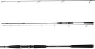 Daiwa Seahunter X Seatrout 3,1 m 10-40 g - Rybářský prut