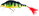 Chartreuse Perch