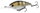 5 cm Zander