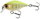Fluor Yellow Tiger