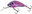 UV Purple