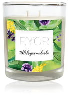 Ryor Soothing Lemon Balm 2 wicks 210 g - Candle