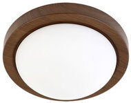 Rabalux - Ceiling Light, 1xE27/40W/230V - Ceiling Light