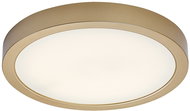 RABALUX 75079 SHAUN PLUS - Deckenleuchte