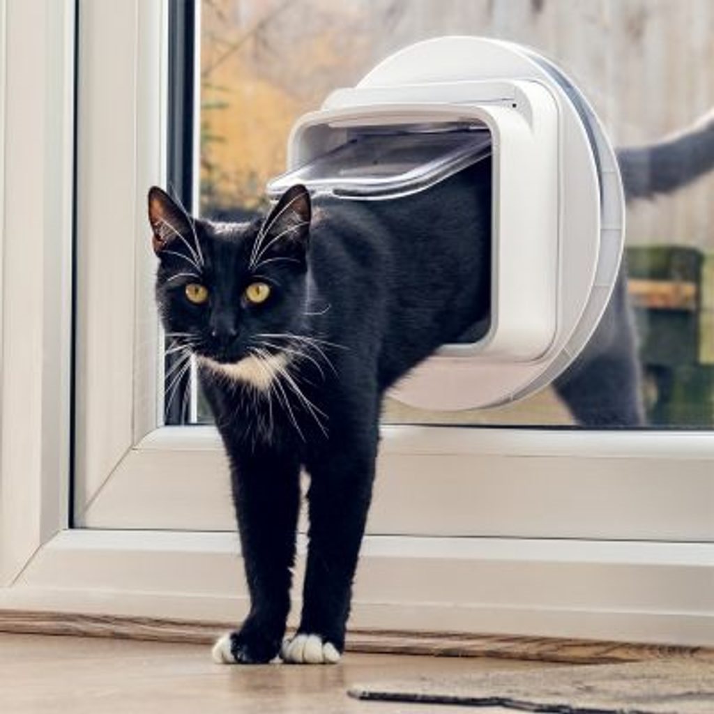 Microchip cat door outlet connect