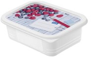 ROTHO Sada dóz do mrazničky Domino 4 × 0,5 l  - Food Container Set