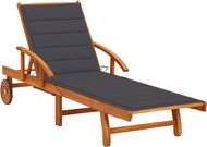 Zahradní lehátko s poduškou masivní akáciové dřevo, 3061602 - Garden Lounger