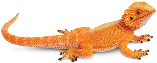 Safari Ltd. Figurine - Agama bearded - Figure - Main image