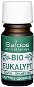Saloos 100 % BIO prírodný esenciálny olej Eukalyptus 5 ml - Esenciálny olej