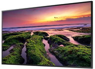 43" Samsung QB43B - Großformat-Display