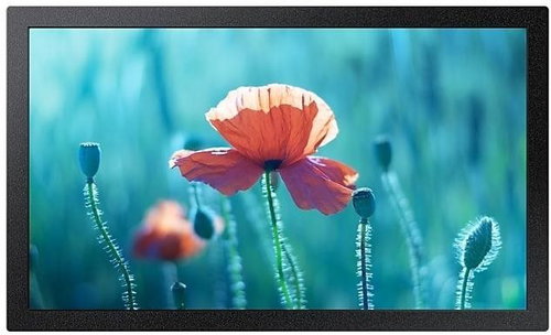 13" Samsung QB13R - Monitor - Main image