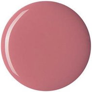 Bottega Verde Dlouhotrvající lak na nehty Pearly black cherry: Mauve - Nail Polish