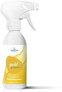 Santini Gold Passion 250 ml - Textile freshener
