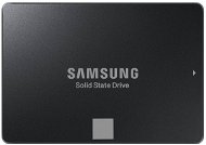 Samsung 750 EVO 120 gigabytes - SSD