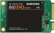 Samsung 860 EVO mSATA 1000 GB - SSD-Festplatte