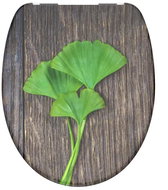 SCHÜTTE GINGKO und WOOD Duroplast, Soft Close - Toilet Seat