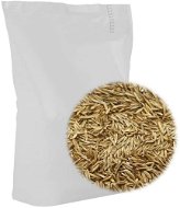Grass seed 5 kg 315281 - Grass Mixture