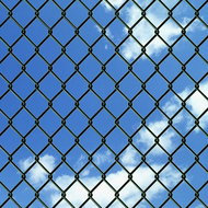 Wire mesh with posts steel 1,25 × 25 m green 140358 - Metal Fence